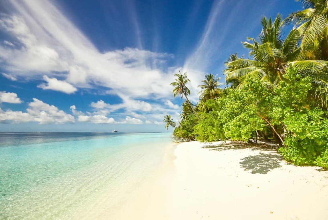 Sunny tropical beach with white sand, clear blue water, and lush palm trees.