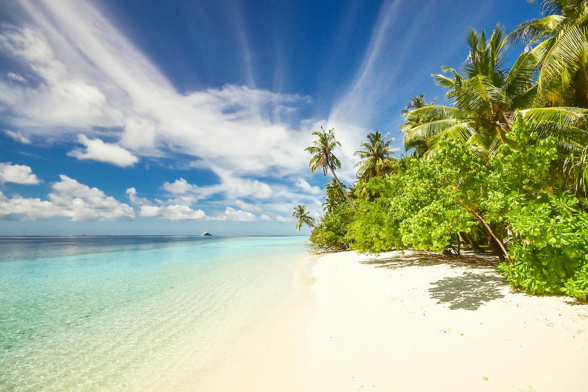 Sunny tropical beach with white sand, clear blue water, and lush palm trees.